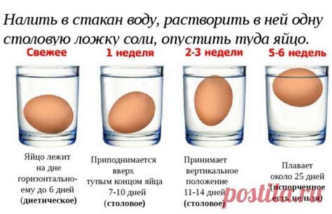 Продлите срок хранения картофеля: экспериментальные методы