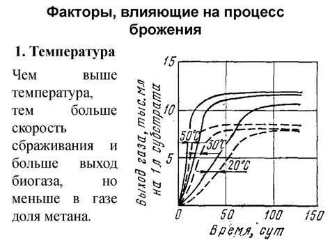 Продолжительность процесса брожения: факторы, влияющие на время брожения