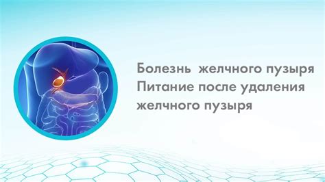 Продолжительность процесса восстановления формы желчного пузыря с использованием методов остеопатии