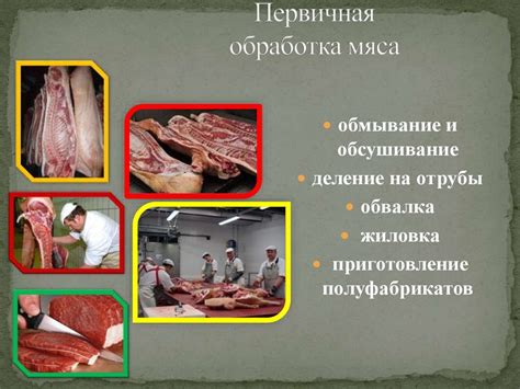 Продолжительность процесса насыщения кабаньего мяса