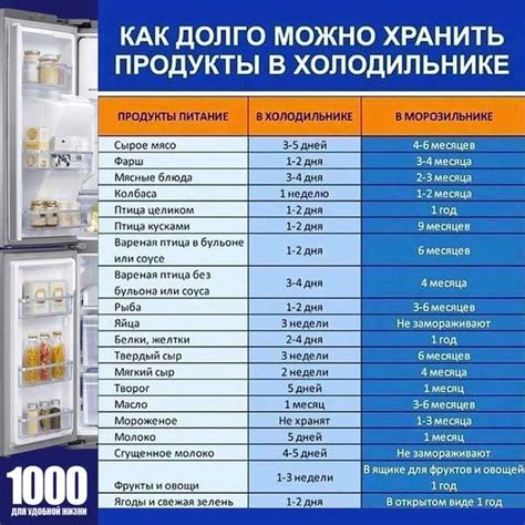 Продолжительность хранения оливкового масла в холодильнике