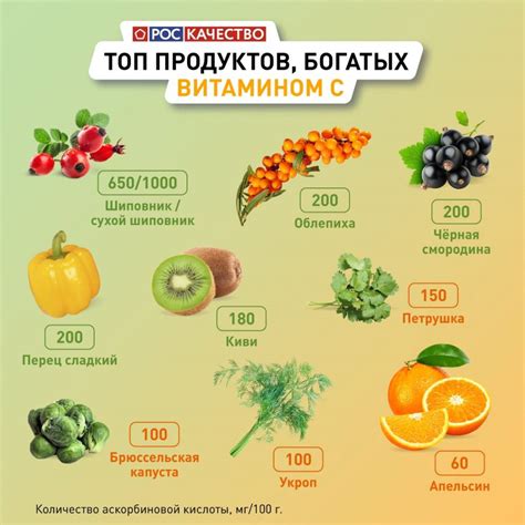 Продукты, богатые витаминами аскорбиновой кислоты