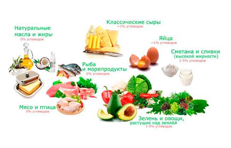 Продукты, рекомендуемые при сбалансированном рационе