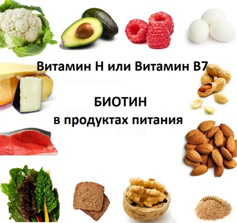 Продукты с высоким содержанием витамина биотина