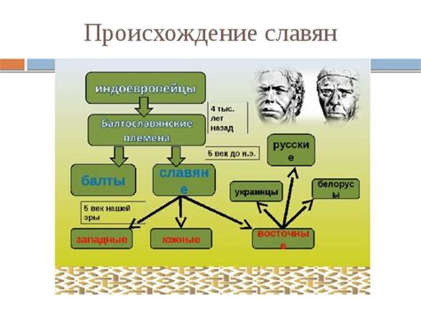 Продукция Weissgauff и ее особенности