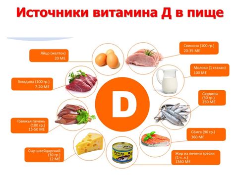 Производство витамина D в организме и его источники в пище