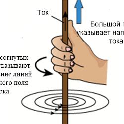 Пройдите небольшой тест, проверяющий доминантность правой руки