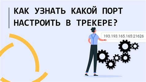 Простые методы определения IP адреса на смартфоне