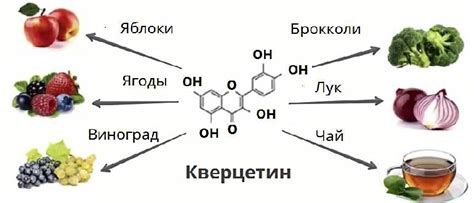 Противовоспалительные и антиоксидантные свойства