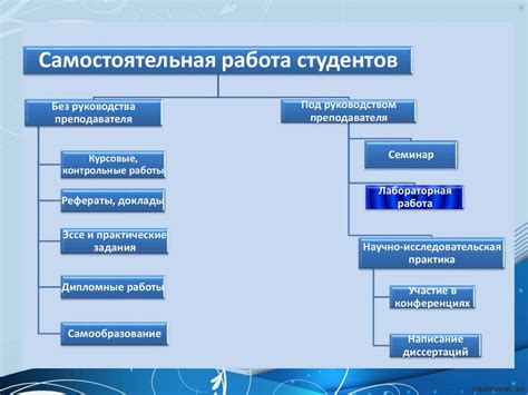 Профессиональное училище как гарант развития практических навыков