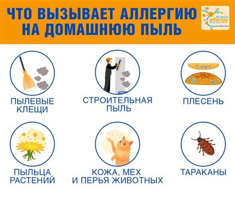 Профилактика аллергии на пыль: снижение риска возникновения