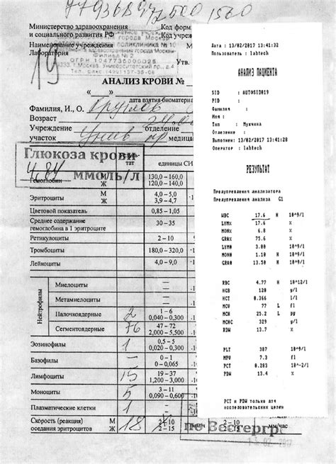 Профилактика вирусной крови у детей