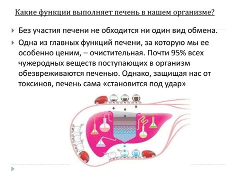 Профилактика возникновения новообразований в печени: