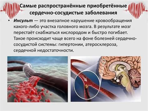 Профилактика заболеваний сердечно-сосудистой системы у мужчин: роль орехов в рационе