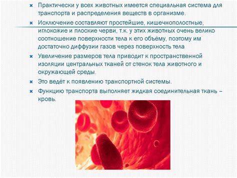 Профилактика и лечение возрастающего содержания жировых веществ в кровеносной системе