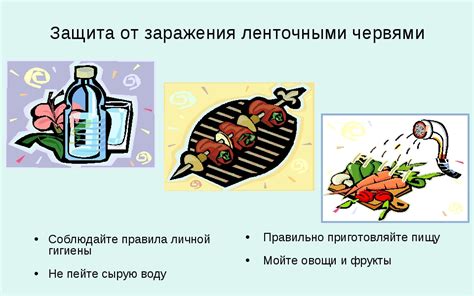 Профилактика паразитарных инфекций и поддержание нормальной терморегуляции