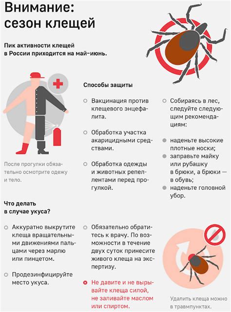 Профилактика энцефалита: рекомендации медицинских специалистов для жителей эндемичных районов