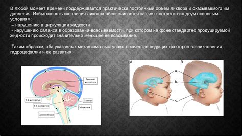Процедура диагностики неорганизованной активности мозга у маленького пациента