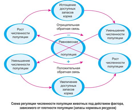 Процессы, обеспечивающие возможность увеличения численности популяции человека