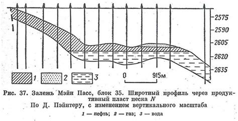 Процессы формирования и разрушения вакуолей в организме: уникальный раздел статьи