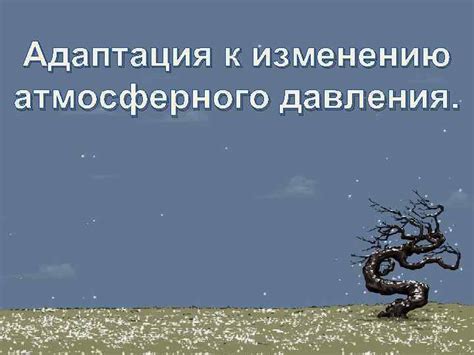 Процесс адаптации к изменению окружающей среды