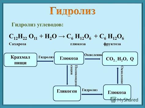 Процесс гидролиза