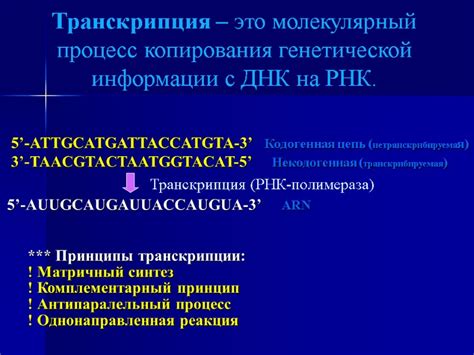 Процесс инициации процесса копирования генетической информации