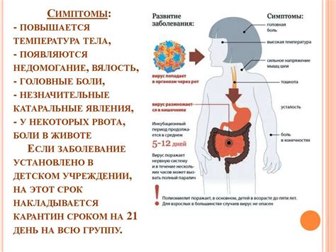 Процесс передачи возбудителя с одного пола на другой