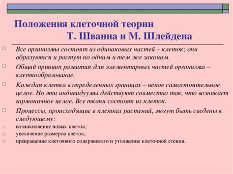 Процесс пожертвования ценной клеточной ткани: инструкции и требования