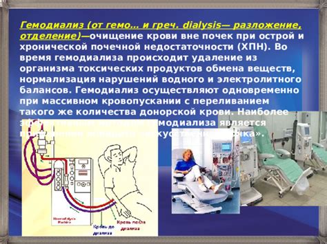 Процесс получения донорской крови: от регистрации до восстановления организма