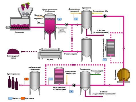 Процесс производства вина верде