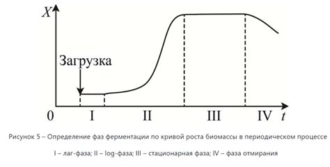 Процесс ферментации молока с применением особым компонентом - сывороткой