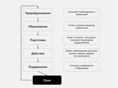 Процесс формирования новых привычек у собаки после перехода в новую семью
