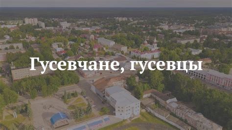 Проявления чудаковатости современных обитателей городов в России