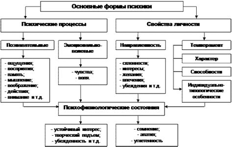 Психические состояния и их воздействие на поведение человека