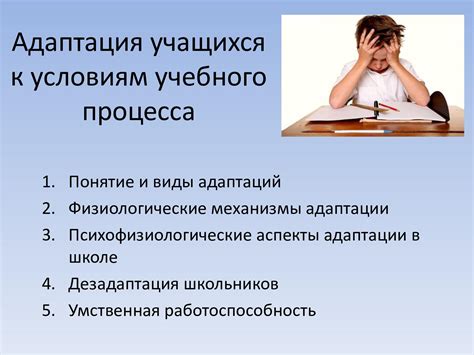 Психологическая адаптация принятых взрослых в странах Европы: ключевые аспекты и вызовы