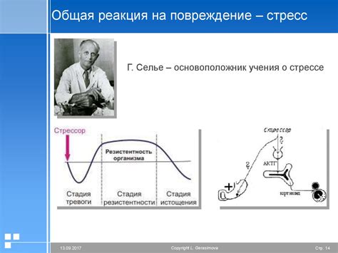 Психофизиологические тесты: измерение реакции организма на стресс