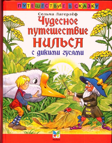 Путешествие в мир вкусов: рецепт традиционных щей с дикими гусями