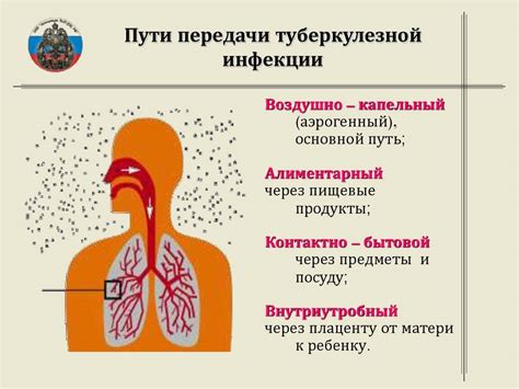 Пути передачи и заражение