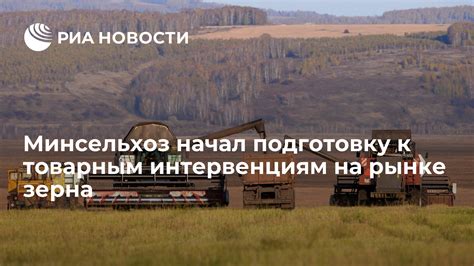 Путь к востребованным товарным предложениям на рынке радиоустройств в "Городе за нижнем поволжье"