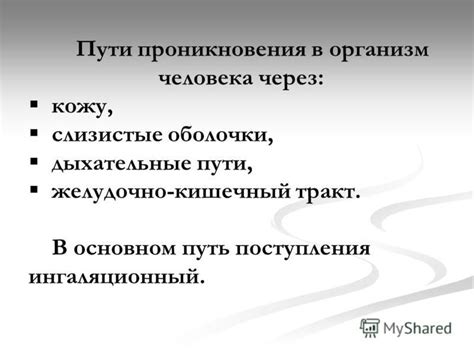 Путь проникновения паров антифриза в организм человека