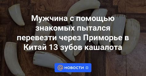 Работа в семейной компании или с помощью знакомых родственников