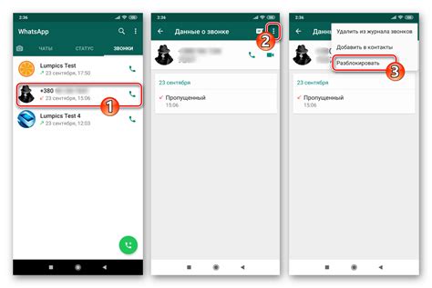 Разблокировка абонента в WhatsApp: видимость разблокировки