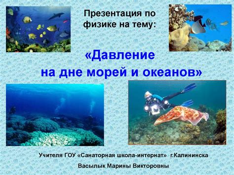 Разведка на дне морей и океанов