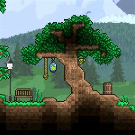 Развивай свое творчество в Terraria