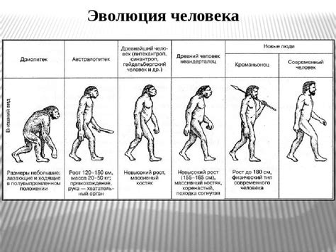 Развитие длинного указующего палеца на стопе человека в процессе эволюции