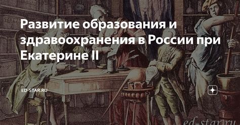 Развитие образования и здравоохранения: преимущества и особенности