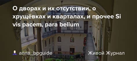 Разгадываем значения сна о маленькой питомице и отсутствии помощи в жизни