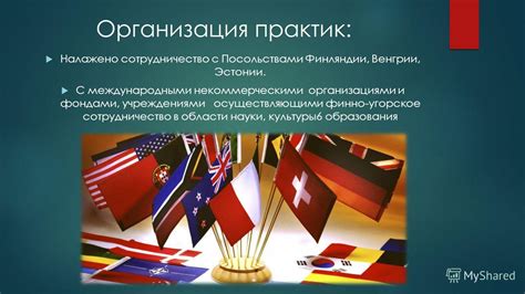 Раздел: Возможности сотрудничества с некоммерческими организациями и фондами