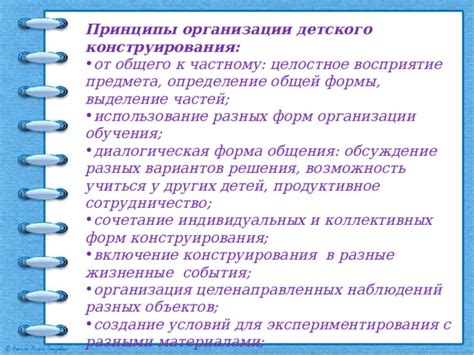 Раздел: Определение и особенности коллективных объектов
